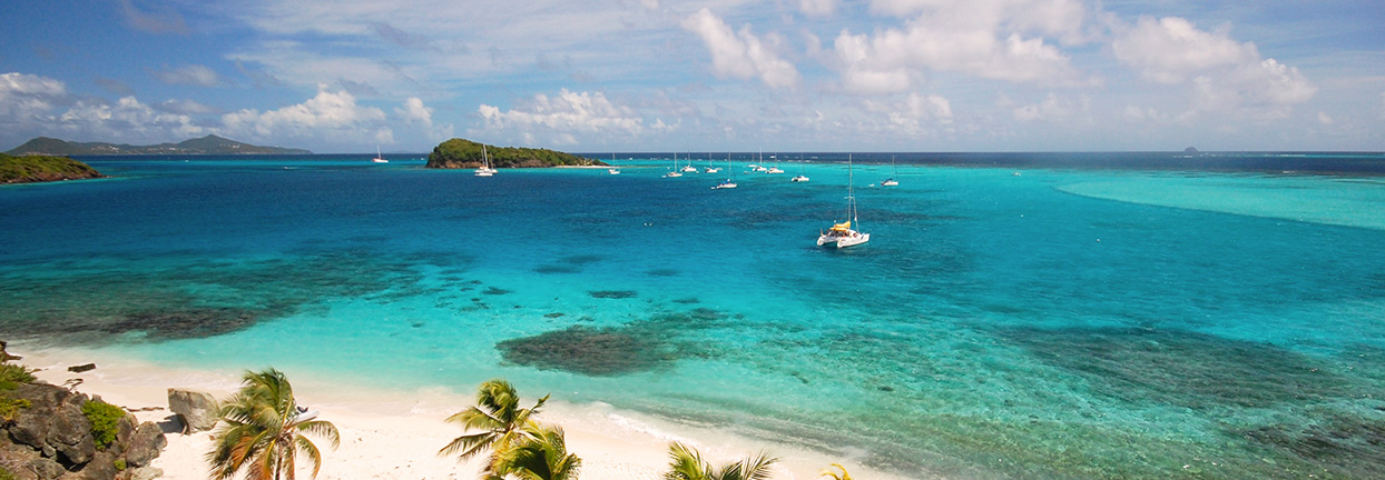 croisière catamaran iles grenadines