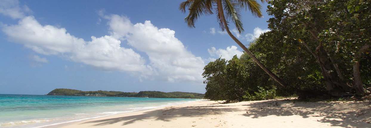 img_big_croisiere_guadeloupe