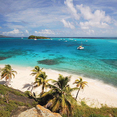 croisière catamaran grenadines