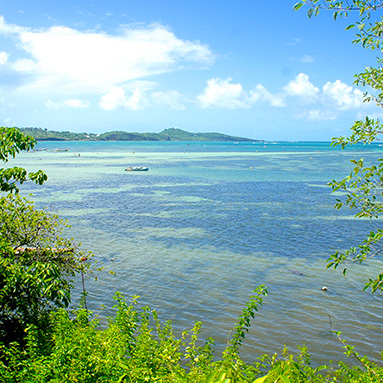 croisière catamaran martinique