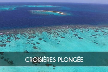 Croisière plongée